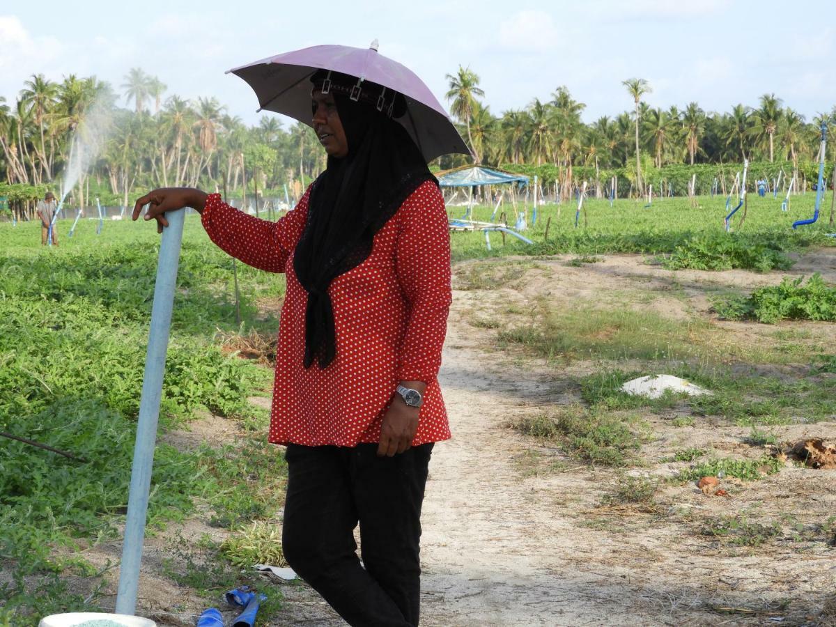 Karaa Village Thoddoo-Atoll Exterior foto